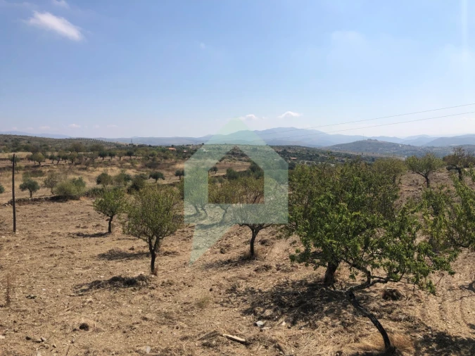 Terreno para Venda em Vila Nova de Foz Côa Foto 15