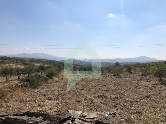 Terreno para Venda em Vila Nova de Foz Côa Foto 16