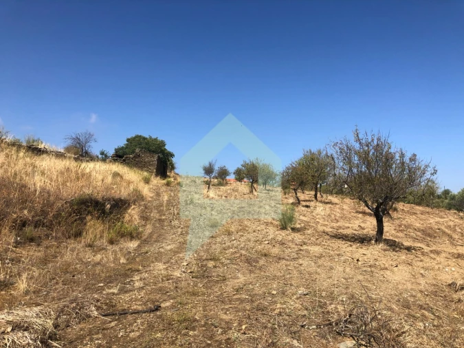 Terreno para Venda em Vila Nova de Foz Côa Foto 20