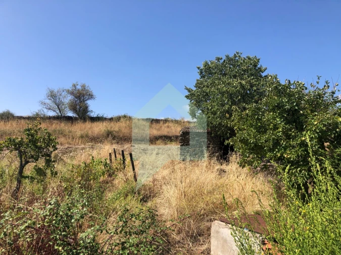 Terreno para Venda em Vila Nova de Foz Côa Foto 25