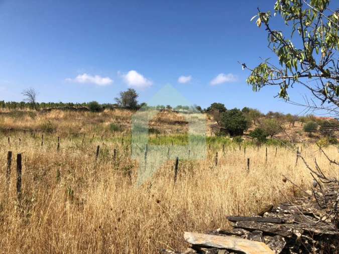 Terreno para Venda em Vila Nova de Foz Côa Foto 27