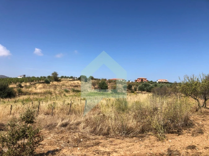 Terreno para Venda em Vila Nova de Foz Côa Foto 28