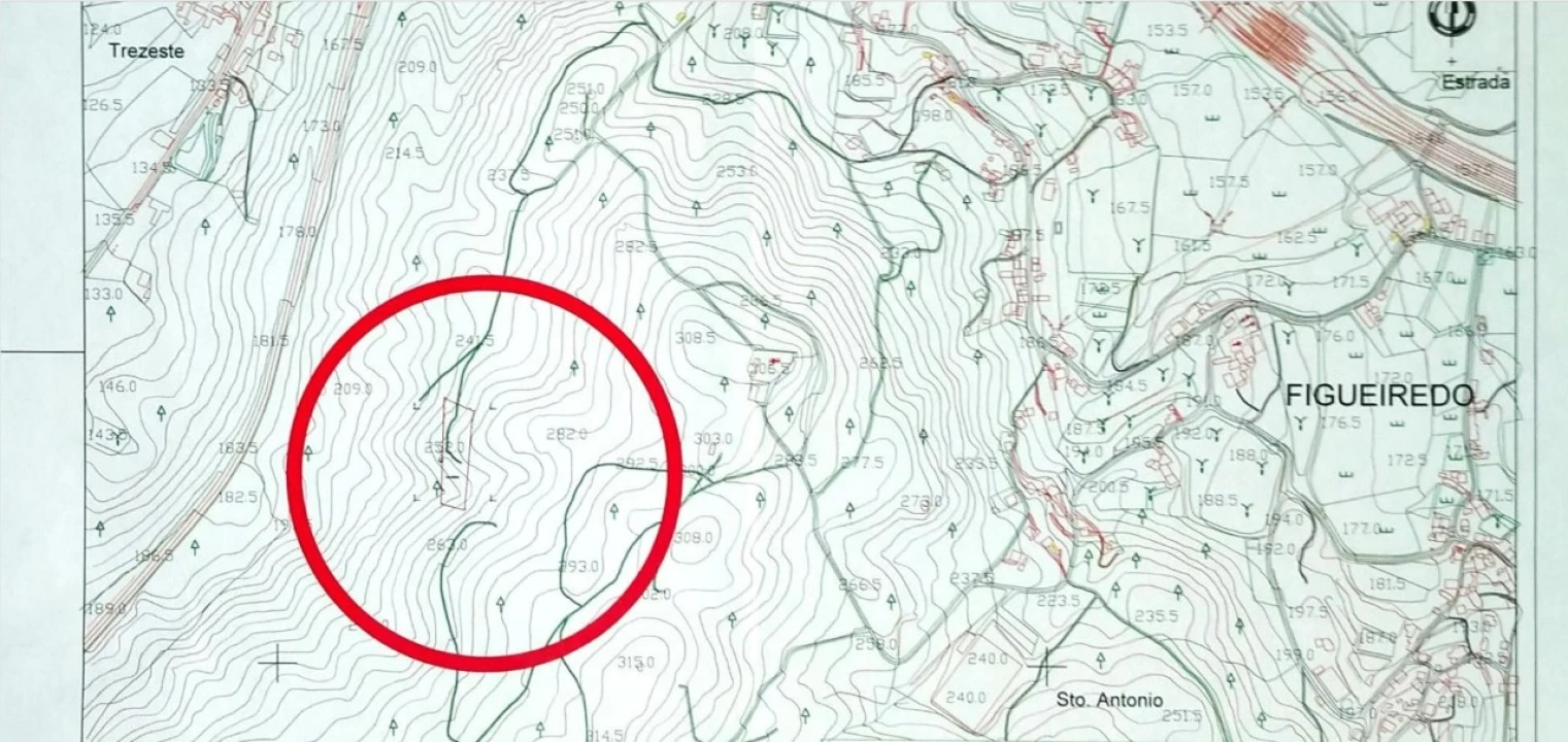 Terreno Agricola ou Rústico para Venda em Figueiredo Foto 6