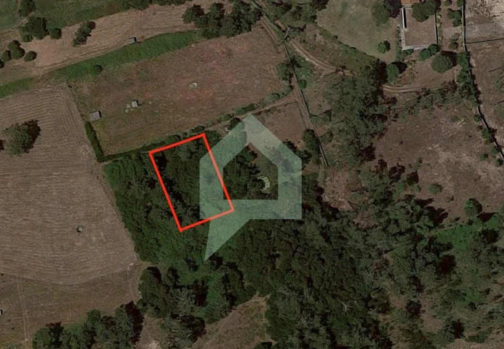 Terreno Agricola ou Rústico para Venda em Antas Foto 2