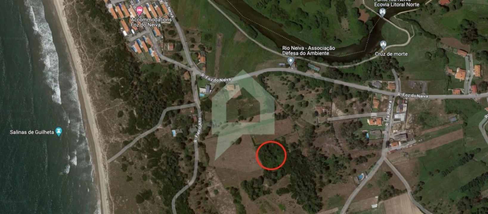 Terreno Agricola ou Rústico para Venda em Antas Foto 3