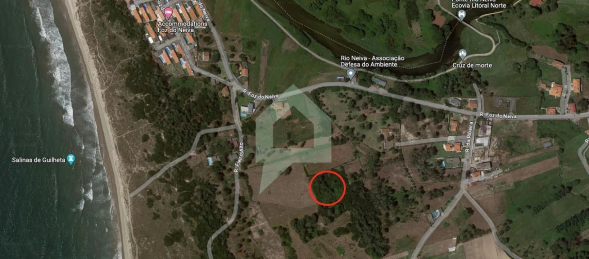 Terreno Agricola ou Rústico para Venda em Antas Foto 3