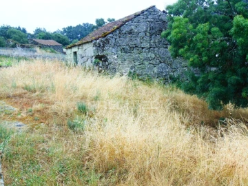 Terreno para Venda em Nossa Senhora da Conceição, São Pedro e São Dinis