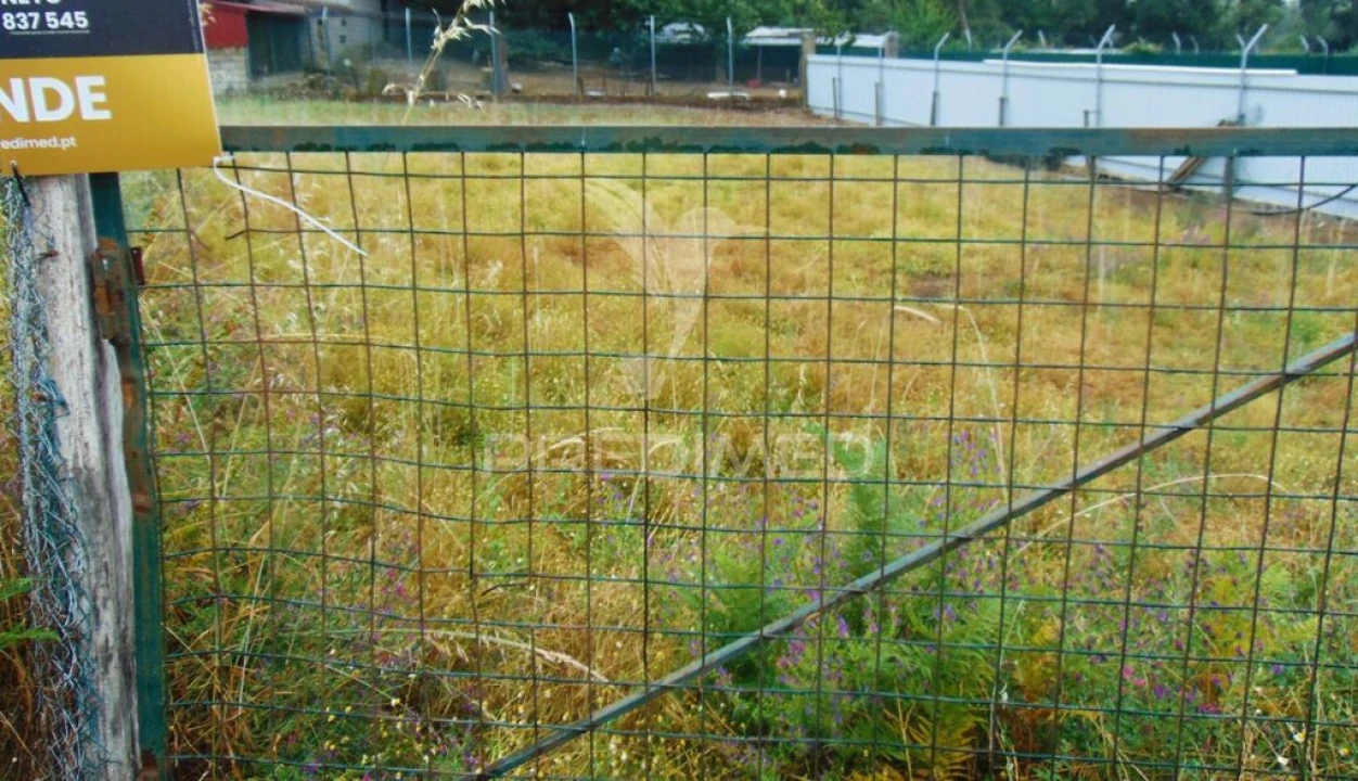 Terreno para Venda em Nossa Senhora da Conceição, São Pedro e São Dinis Foto 5