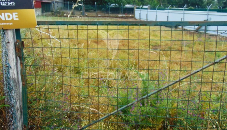 Terreno para Venda em Nossa Senhora da Conceição, São Pedro e São Dinis Foto 5