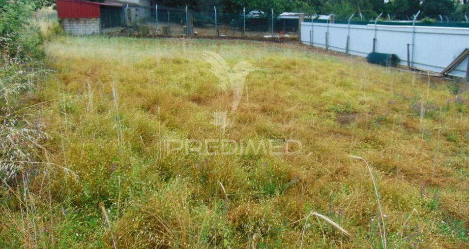 Terreno para Venda em Nossa Senhora da Conceição, São Pedro e São Dinis Foto 4