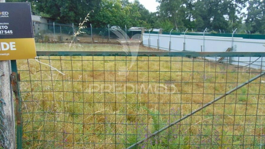 Terreno para Venda em Nossa Senhora da Conceição, São Pedro e São Dinis
