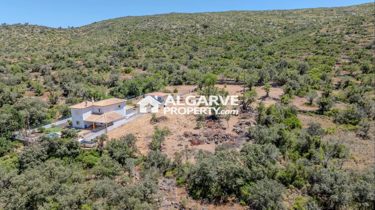 Terreno para Venda em Loule (São Clemente) Foto 2