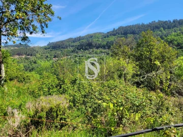 Moradia T2 para Venda em Cinfães
