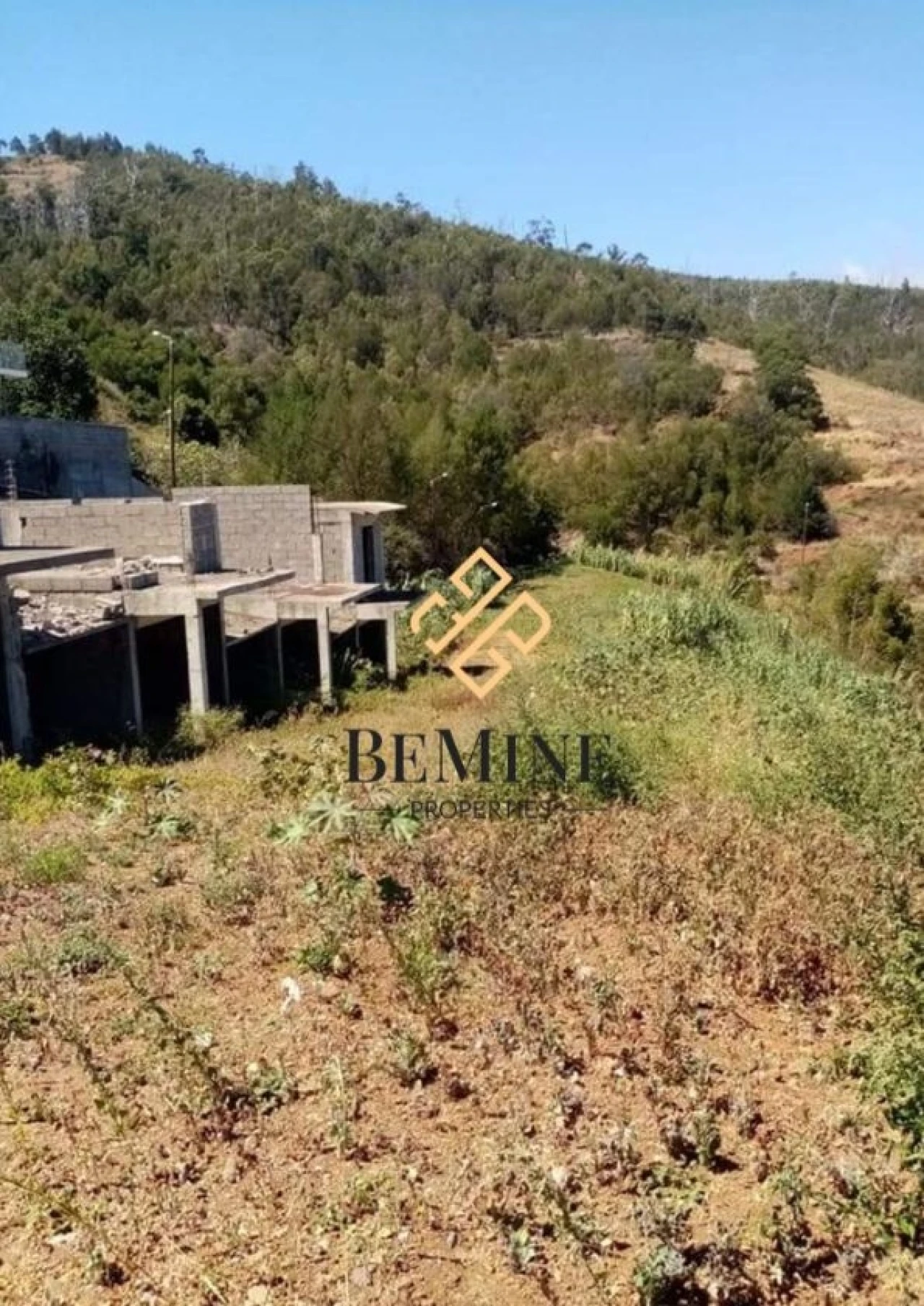 Terreno para Venda em Gaula Foto 3