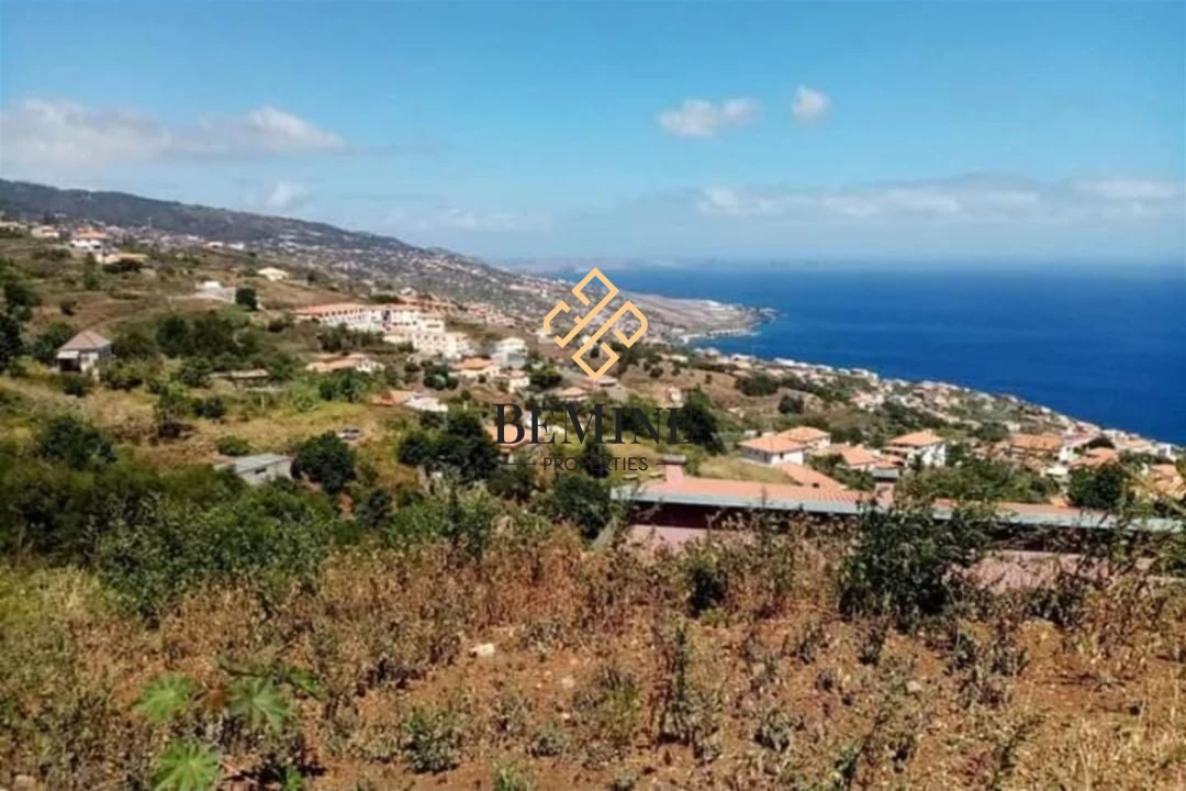 Terreno para Venda em Gaula Foto 2