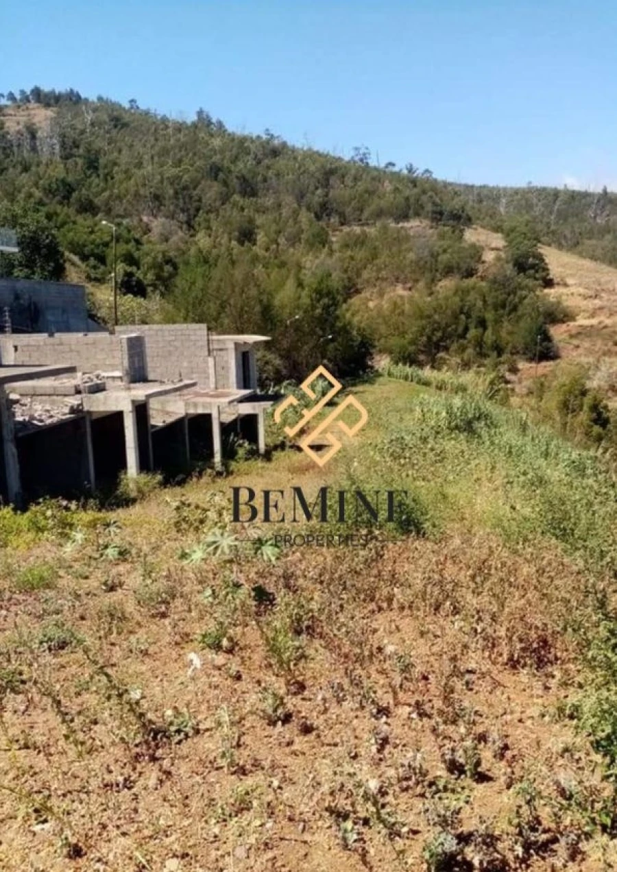 Terreno para Venda em Gaula Foto 3