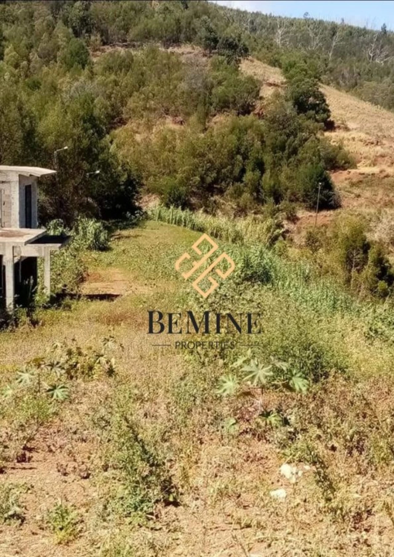 Terreno para Venda em Gaula Foto 5