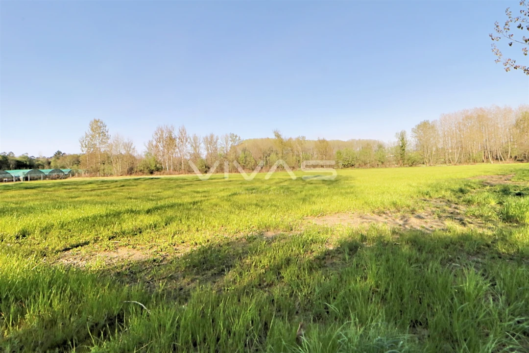 Terreno Agricola ou Rústico para Venda em Vila de Prado Foto 2
