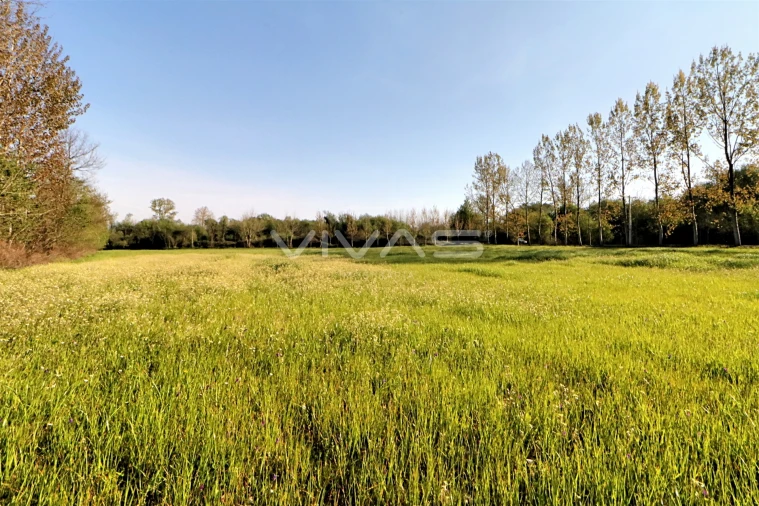 Terreno Agricola ou Rústico para Venda em Vila de Prado Foto 4