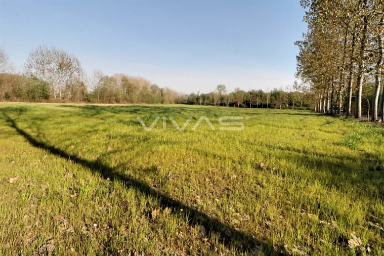 Terreno Agricola ou Rústico para Venda em Vila de Prado Foto 5