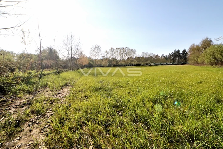 Terreno Agricola ou Rústico para Venda em Vila de Prado Foto 3