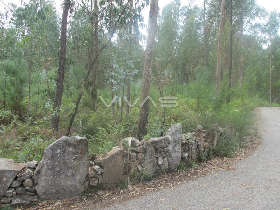 Terreno Agricola ou Rústico para Venda em Cervães Foto 1