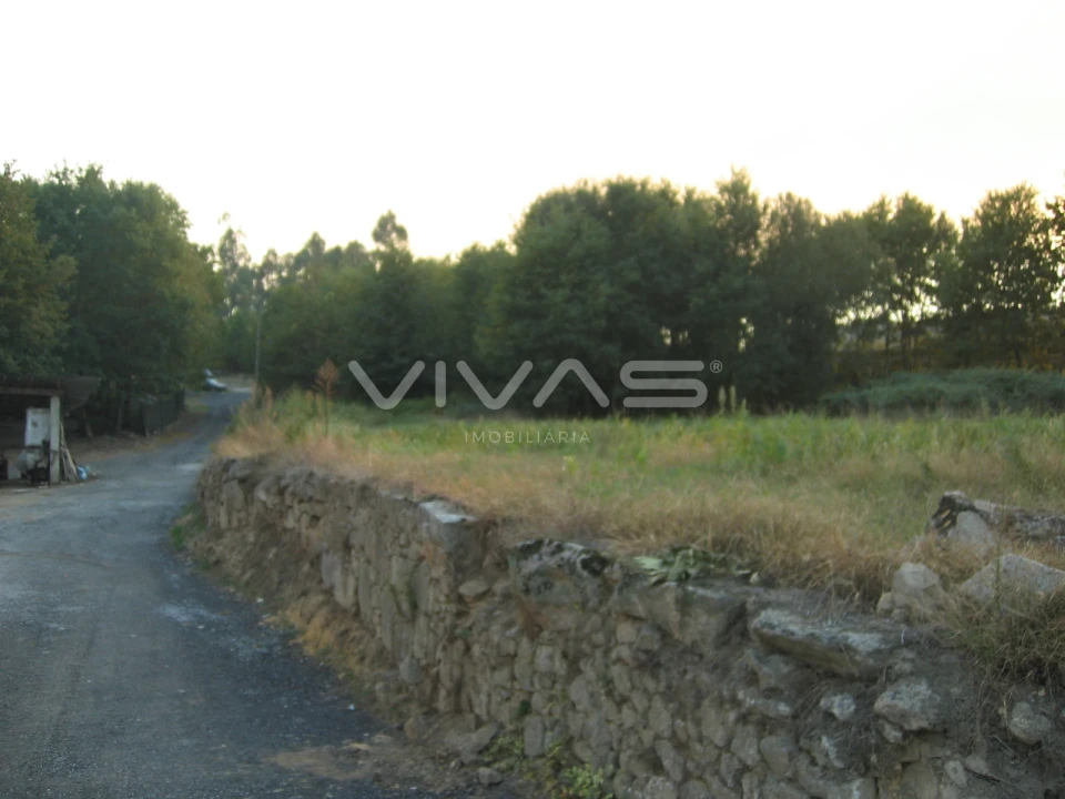 Terreno para Venda em Pico de Regalados, Gondiães e Mós Foto 3