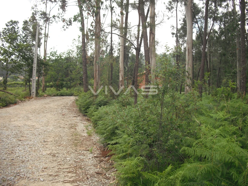 Terreno Agricola ou Rústico para Venda em Cervães Foto 1