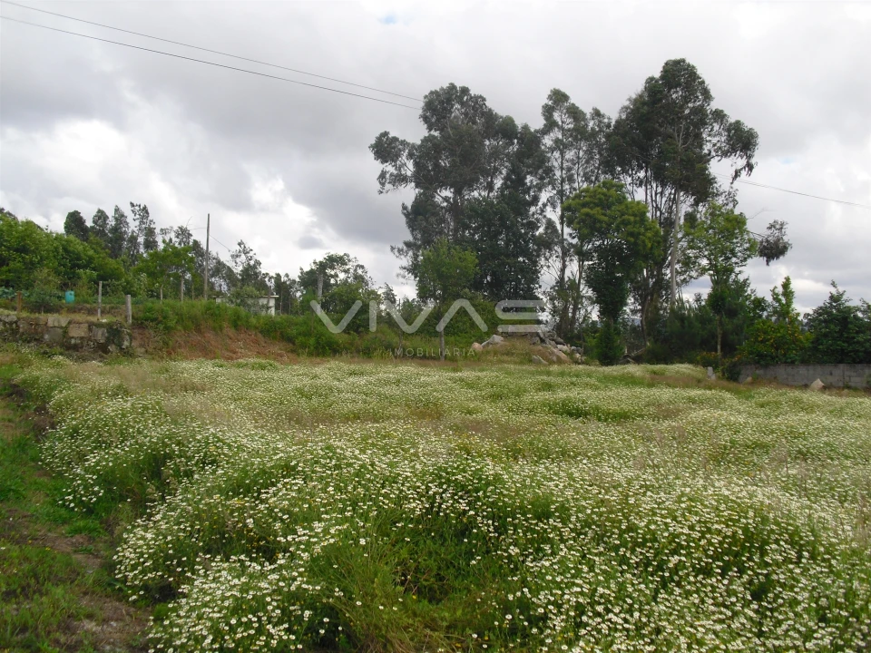 Terreno para Arrendamento em Vila Verde e Barbudo Foto 1