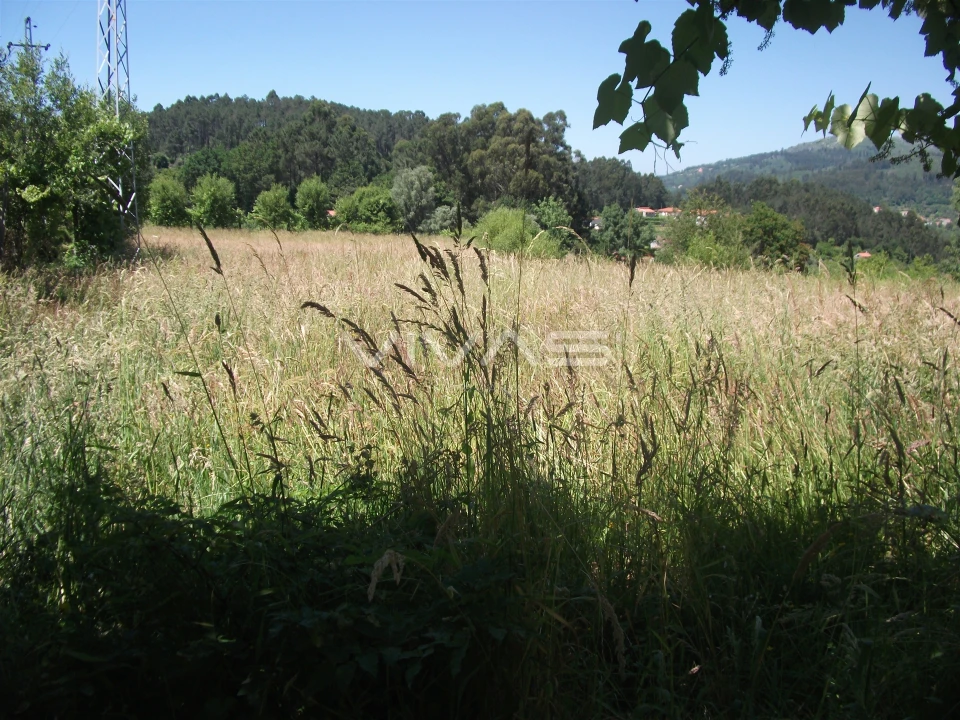 Terreno Agricola ou Rústico para Venda em Vade Foto 2