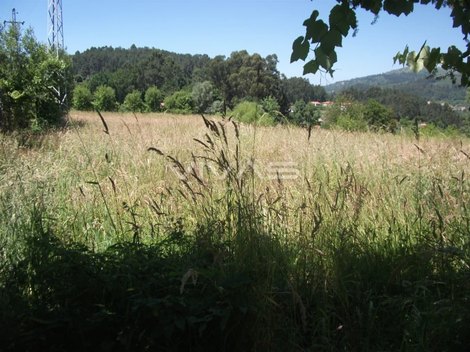 Terreno Agricola ou Rústico para Venda em Vade Foto 2