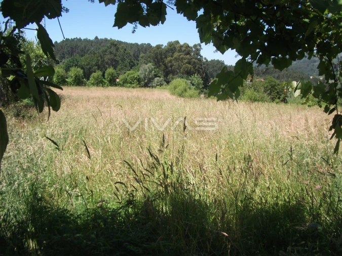 Terreno Agricola ou Rústico para Venda em Vade Foto 3