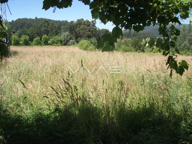 Terreno Agricola ou Rústico para Venda em Vade Foto 1