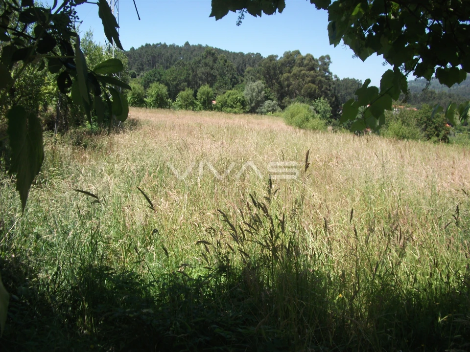 Terreno Agricola ou Rústico para Venda em Vade Foto 4