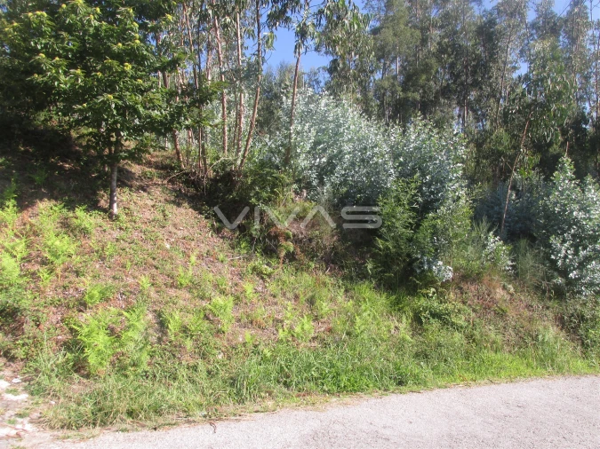 Terreno Agricola ou Rústico para Venda em Dossãos Foto 3