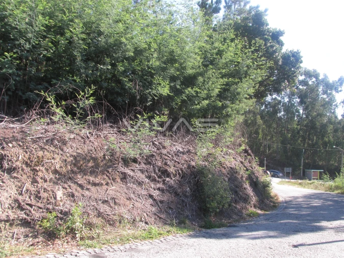Terreno Agricola ou Rústico para Venda em Dossãos Foto 4