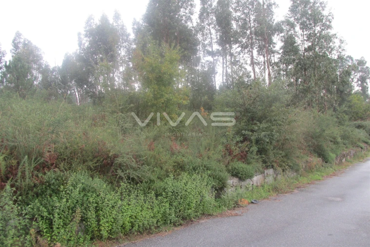 Terreno para Venda em Lanhas Foto 1