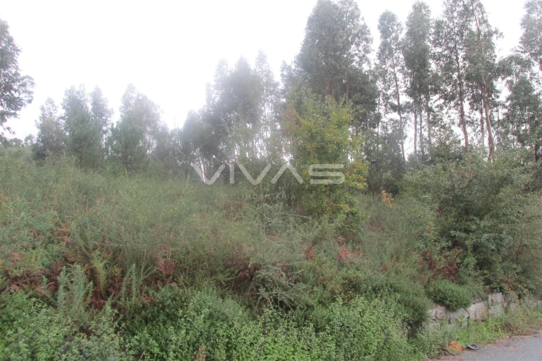 Terreno para Venda em Lanhas Foto 2