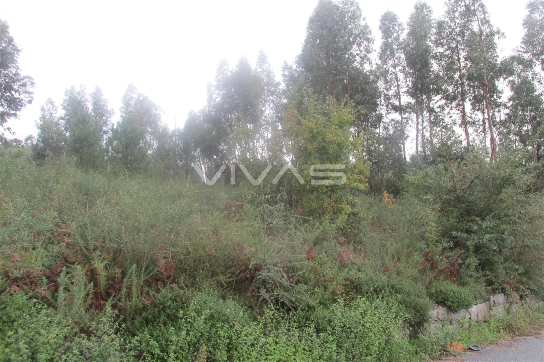 Terreno para Venda em Lanhas Foto 2