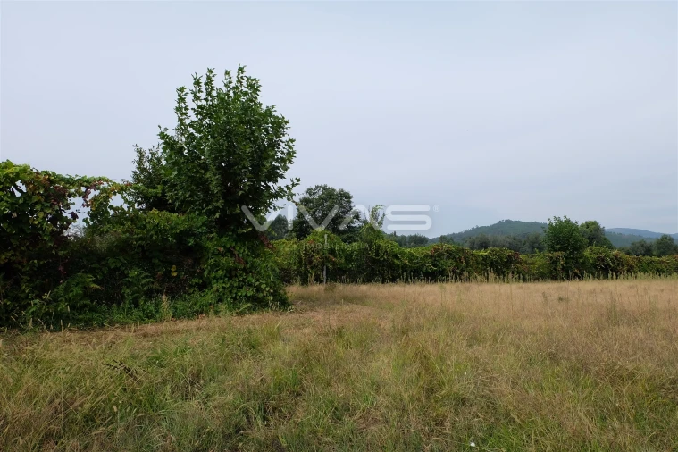 Terreno Agricola ou Rústico para Venda em Ponte Foto 3