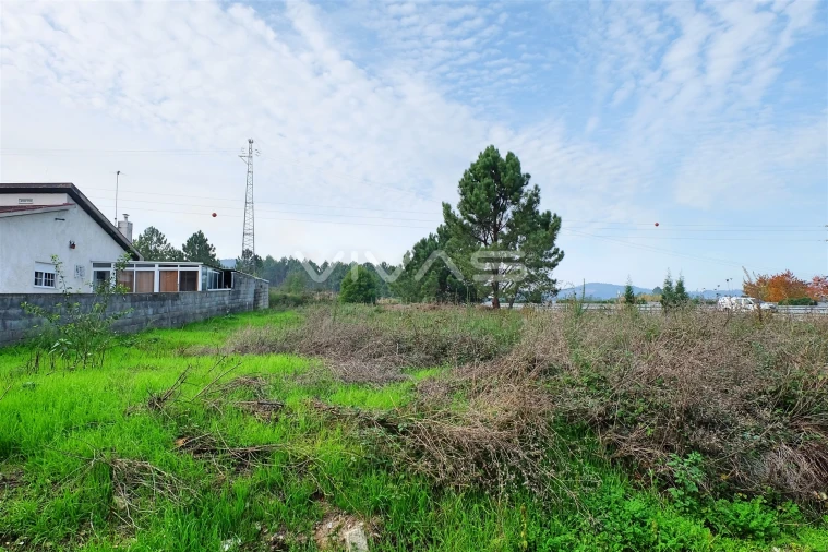 Terreno Agricola ou Rústico para Venda em Lama Foto 2