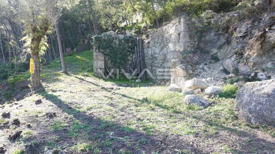 Terreno Agricola ou Rústico para Venda em Gondoriz Foto 13
