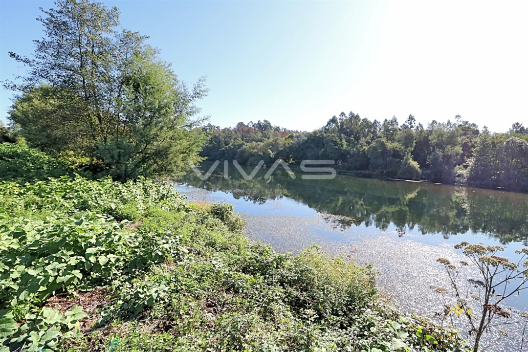 Terreno Agricola ou Rústico para Venda em Ferreiros, Prozelo e Besteiros Foto 1