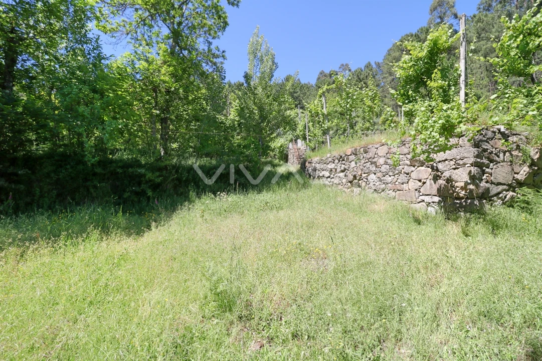 Terreno Agricola ou Rústico para Venda em Caires Foto 1
