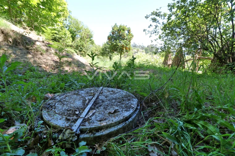 Terreno Agricola ou Rústico para Venda em Caires Foto 6