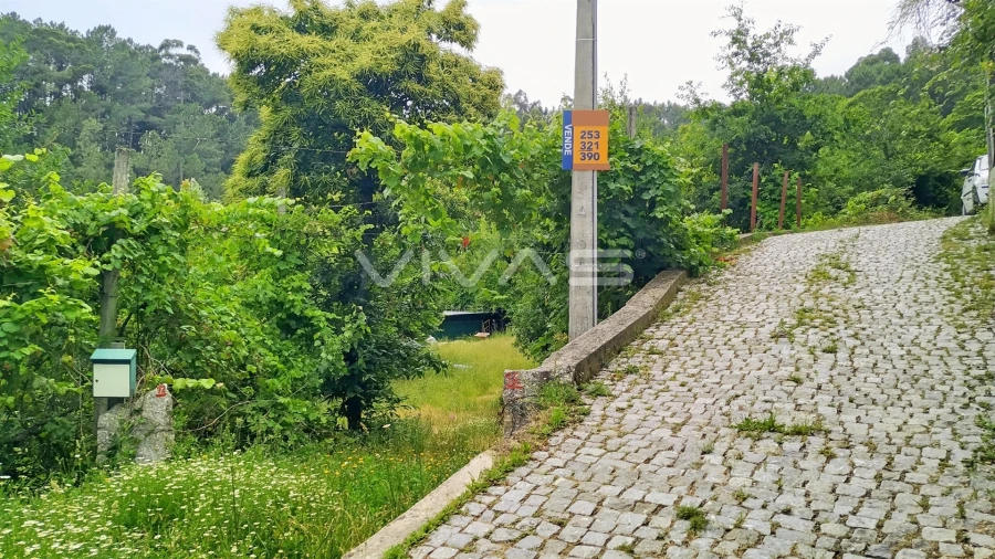 Terreno Agricola ou Rústico para Venda em Caires Foto 7