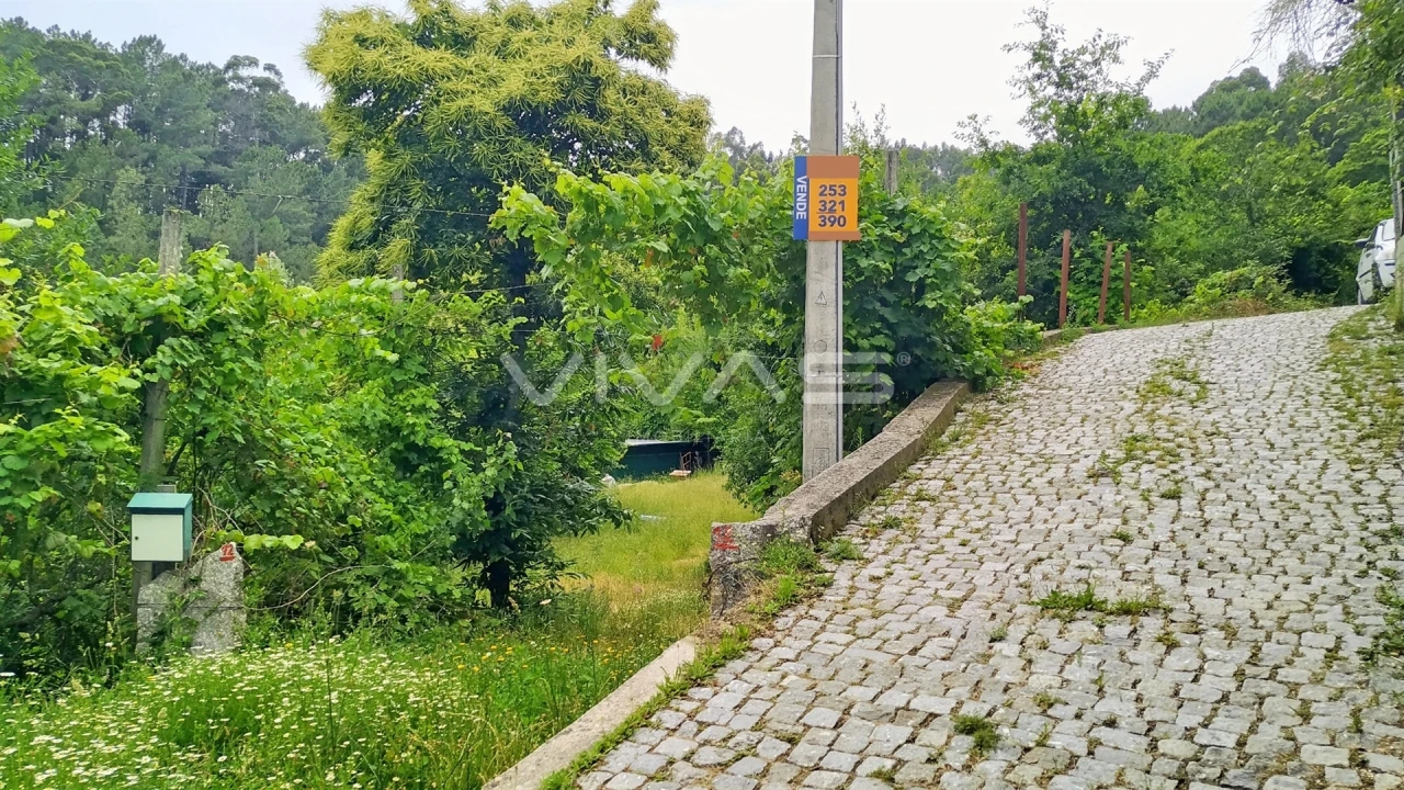Terreno Agricola ou Rústico para Venda em Caires Foto 7