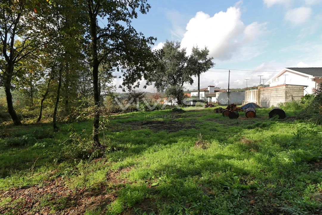 Terreno Agricola ou Rústico para Venda em Ferreiros, Prozelo e Besteiros Foto 5