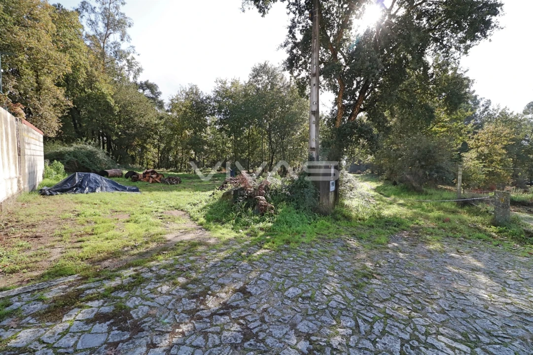 Terreno Agricola ou Rústico para Venda em Ferreiros, Prozelo e Besteiros Foto 6