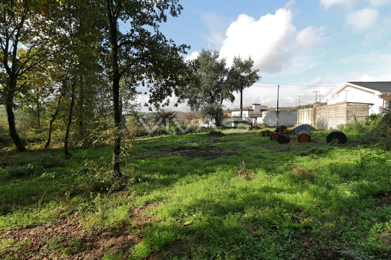 Terreno Agricola ou Rústico para Venda em Ferreiros, Prozelo e Besteiros Foto 5